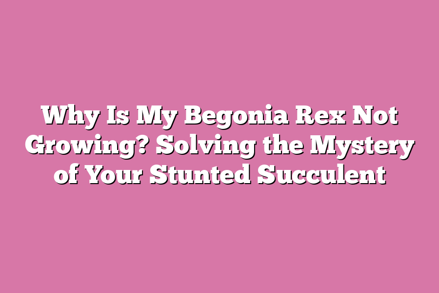 Why Is My Begonia Rex Not Growing? Solving the Mystery of Your Stunted Succulent