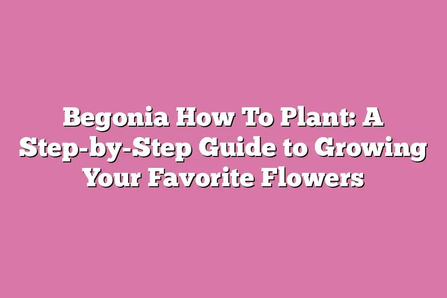 Begonia How To Plant: A Step-by-Step Guide to Growing Your Favorite Flowers