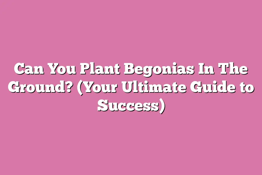 Can You Plant Begonias In The Ground? (Your Ultimate Guide to Success)