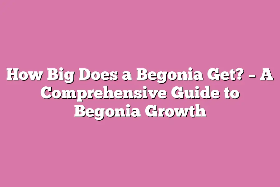 How Big Does a Begonia Get? – A Comprehensive Guide to Begonia Growth