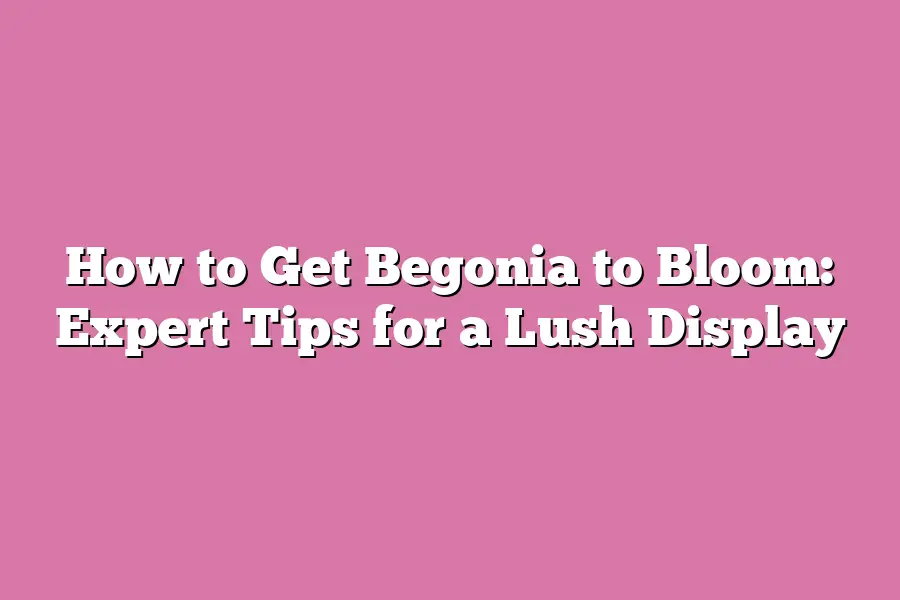 How to Get Begonia to Bloom: Expert Tips for a Lush Display – Flower ...