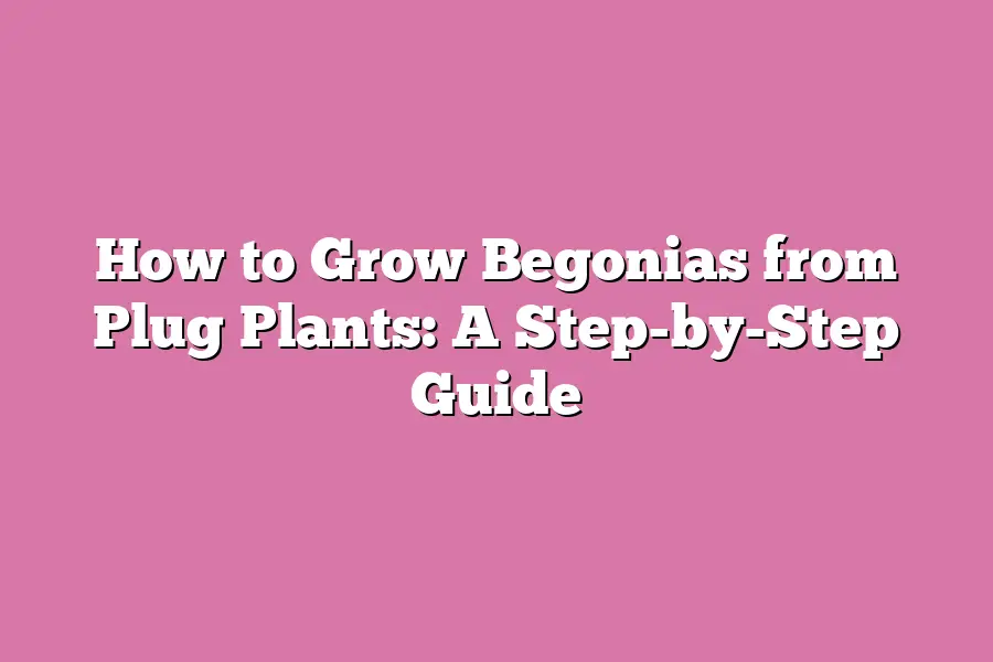 How to Grow Begonias from Plug Plants: A Step-by-Step Guide