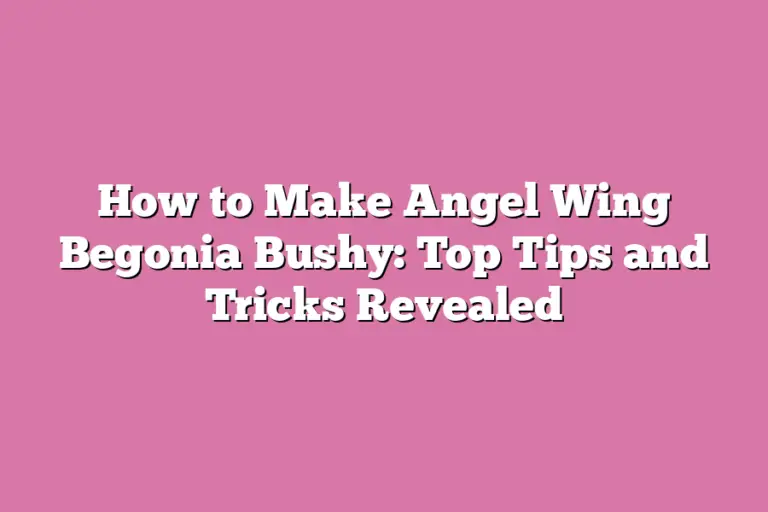 How to Make Angel Wing Begonia Bushy Top Tips and Tricks Revealed