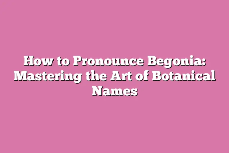 How To Pronounce Begonia: Mastering The Art Of Botanical Names – Flower ...