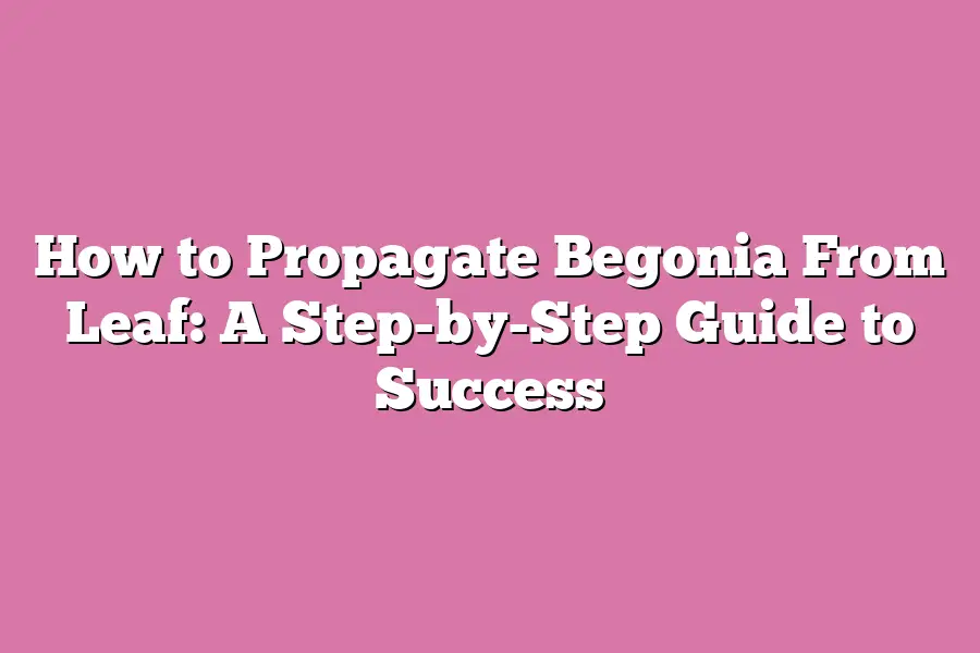 How to Propagate Begonia From Leaf: A Step-by-Step Guide to Success