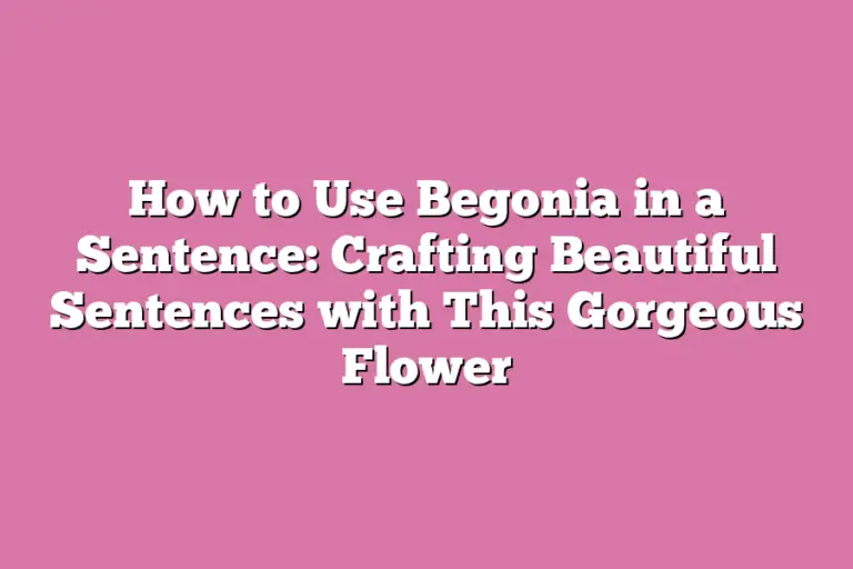How to Use Begonia in a Sentence Crafting Beautiful Sentences with