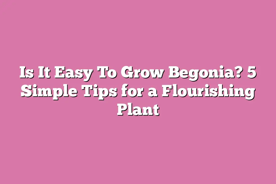 Is It Easy To Grow Begonia? 5 Simple Tips for a Flourishing Plant