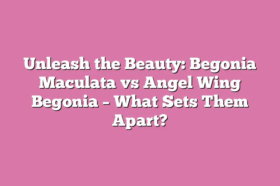 Unleash the Beauty: Begonia Maculata vs Angel Wing Begonia – What Sets Them Apart?