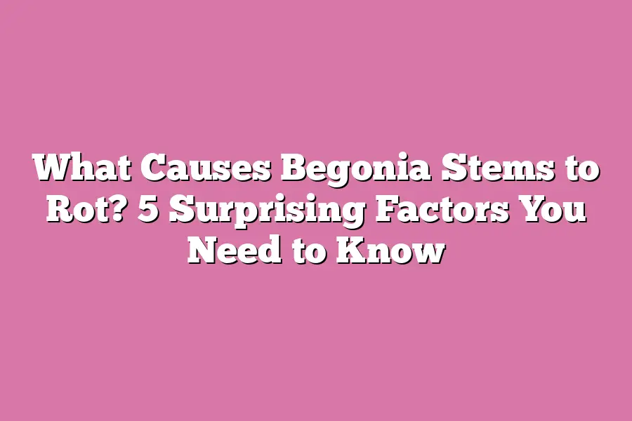 What Causes Begonia Stems to Rot? 5 Surprising Factors You Need to Know