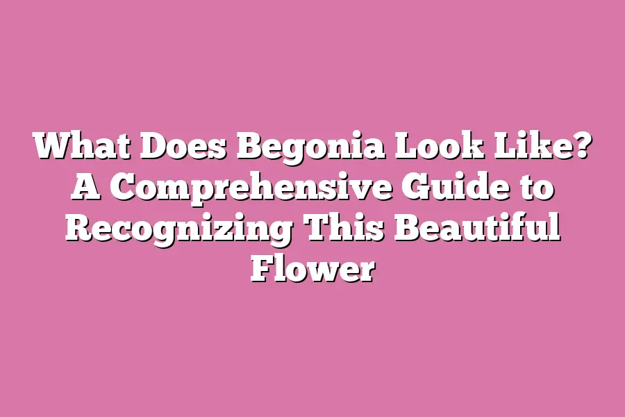 What Does Begonia Look Like? A Comprehensive Guide to Recognizing This Beautiful Flower