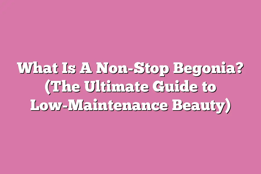 What Is A Non-Stop Begonia? (The Ultimate Guide to Low-Maintenance Beauty)