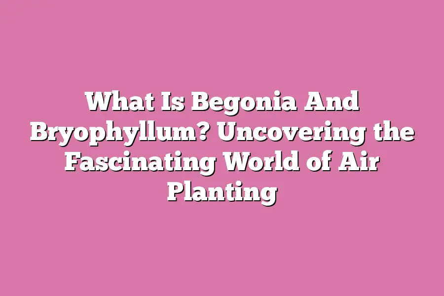 What Is Begonia And Bryophyllum? Uncovering the Fascinating World of Air Planting