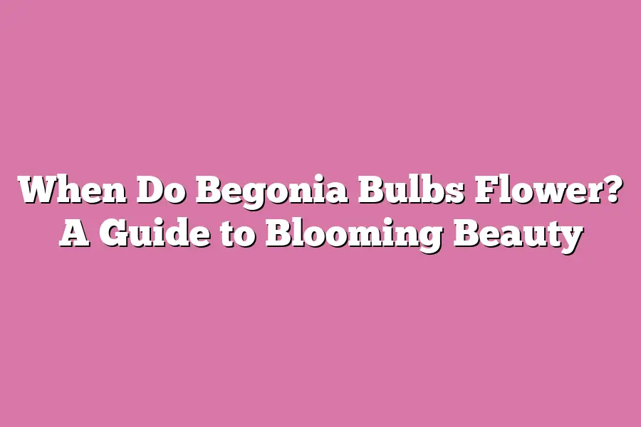 When Do Begonia Bulbs Flower? A Guide to Blooming Beauty