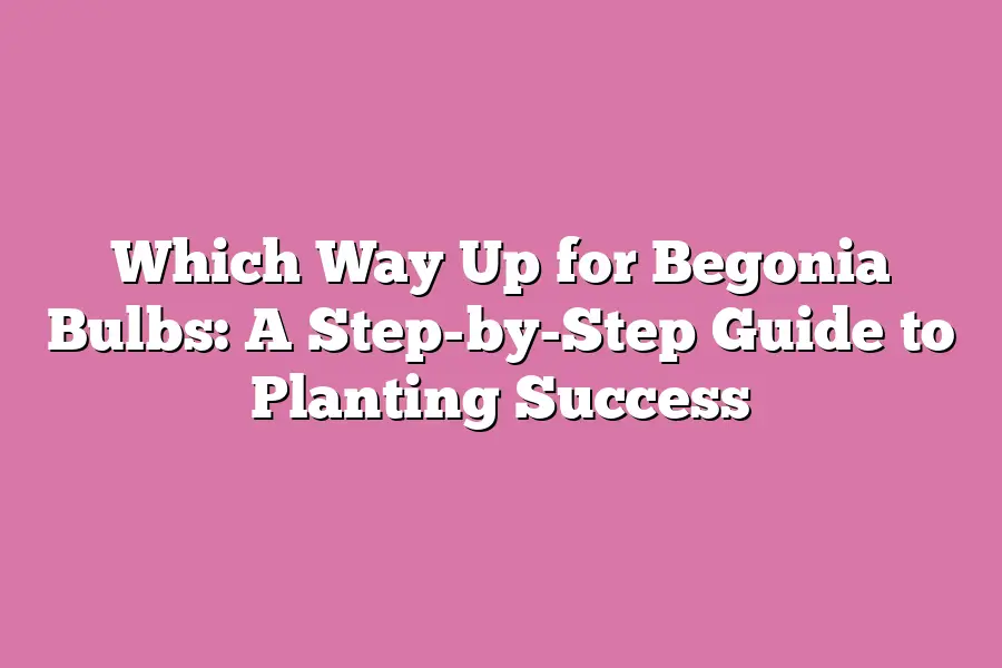 Which Way Up for Begonia Bulbs: A Step-by-Step Guide to Planting Success