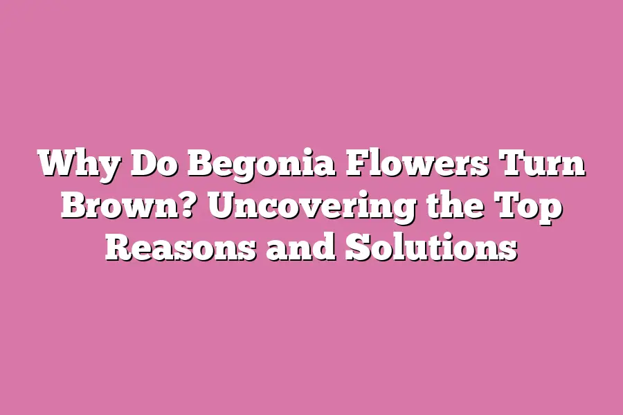 Why Do Begonia Flowers Turn Brown? Uncovering the Top Reasons and Solutions