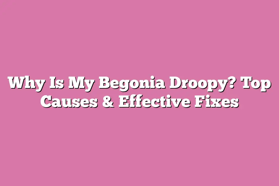 Why Is My Begonia Droopy? Top Causes & Effective Fixes