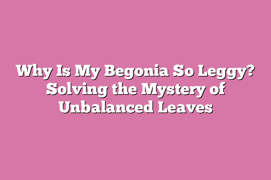 Why Is My Begonia So Leggy? Solving the Mystery of Unbalanced Leaves